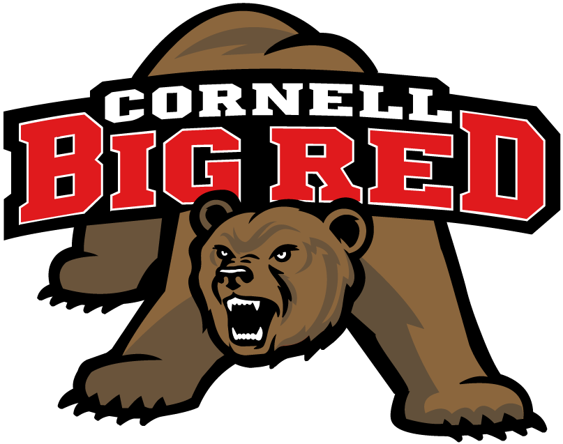 Cornell Big Red 1998-2001 Primary Logo iron on transfers for fabric